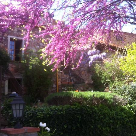 Camélas La Figuera Bed & Breakfast エクステリア 写真