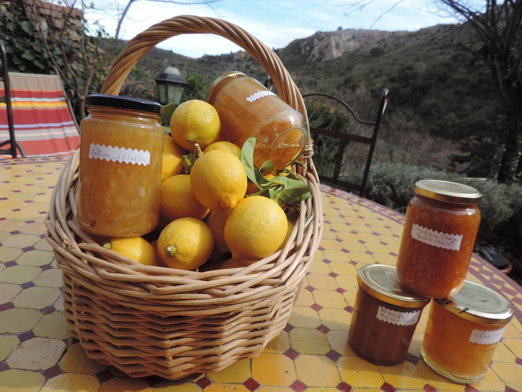 Camélas La Figuera Bed & Breakfast エクステリア 写真